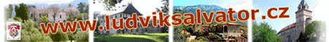Ludv�k Salv�tor