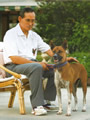 Bhumibol se sv�m psem